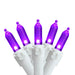 32605427 Holiday/Christmas/Christmas Lights