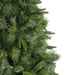 32265731 Holiday/Christmas/Christmas Trees