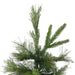 32265731 Holiday/Christmas/Christmas Trees