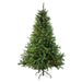 32913259 Holiday/Christmas/Christmas Trees