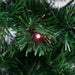 31466431 Holiday/Christmas/Christmas Trees