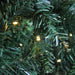 32266417 Holiday/Christmas/Christmas Trees