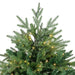 34865023 Holiday/Christmas/Christmas Trees