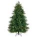 34865023 Holiday/Christmas/Christmas Trees