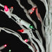 32912551 Holiday/Christmas/Christmas Trees