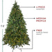 32915501 Holiday/Christmas/Christmas Trees