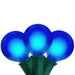 32913393 Holiday/Christmas/Christmas Lights