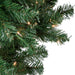 34908523 Holiday/Christmas/Christmas Trees