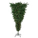 34908523 Holiday/Christmas/Christmas Trees