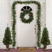35167002 Holiday/Christmas/Christmas Trees