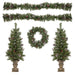 35167002 Holiday/Christmas/Christmas Trees