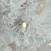 32266704 Holiday/Christmas/Christmas Trees