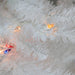 32913240 Holiday/Christmas/Christmas Trees