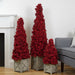 35250610 Holiday/Christmas/Christmas Trees