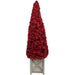 35250610 Holiday/Christmas/Christmas Trees