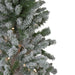 33532714 Holiday/Christmas/Christmas Trees