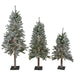 33532714 Holiday/Christmas/Christmas Trees