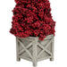 35250611 Holiday/Christmas/Christmas Trees