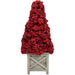 35250611 Holiday/Christmas/Christmas Trees