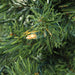 32279788 Holiday/Christmas/Christmas Trees