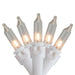 32602375 Holiday/Christmas/Christmas Lights