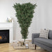 34908528 Holiday/Christmas/Christmas Trees