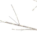 TR3264WW Holiday/Christmas/Christmas Trees