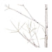 TR3247WW Holiday/Christmas/Christmas Trees