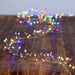 AD1011M Holiday/Christmas/Christmas Lights