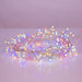 AD1011M Holiday/Christmas/Christmas Lights