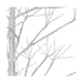 TR3245WW Holiday/Christmas/Christmas Trees