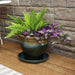 AP-244 Outdoor/Lawn & Garden/Planters