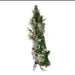 TR0210LED Holiday/Christmas/Christmas Trees