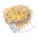 AD1050WW Holiday/Christmas/Christmas Lights