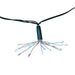 AD1039RGB Holiday/Christmas/Christmas Lights