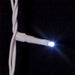 AD1037CW Holiday/Christmas/Christmas Lights