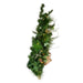 TR0209LED Holiday/Christmas/Christmas Trees