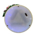 JEL2009 Holiday/Christmas/Christmas Indoor Decor