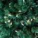 TR1426 Holiday/Christmas/Christmas Trees