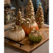 TD2206 Holiday/Thanksgiving & Fall/Thanksgiving & Fall Tableware and Decor