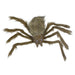 34289223 Holiday/Halloween/Halloween Indoor Decor