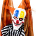 34289229 Holiday/Halloween/Halloween Indoor Decor