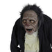 34289231 Holiday/Halloween/Halloween Indoor Decor