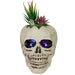 35131191 Holiday/Halloween/Halloween Indoor Decor