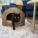CBD1000A Decor/Pet Accessories/Pet Beds