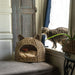 CBD1000A Decor/Pet Accessories/Pet Beds