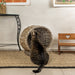 CBD1001A Decor/Pet Accessories/Pet Beds