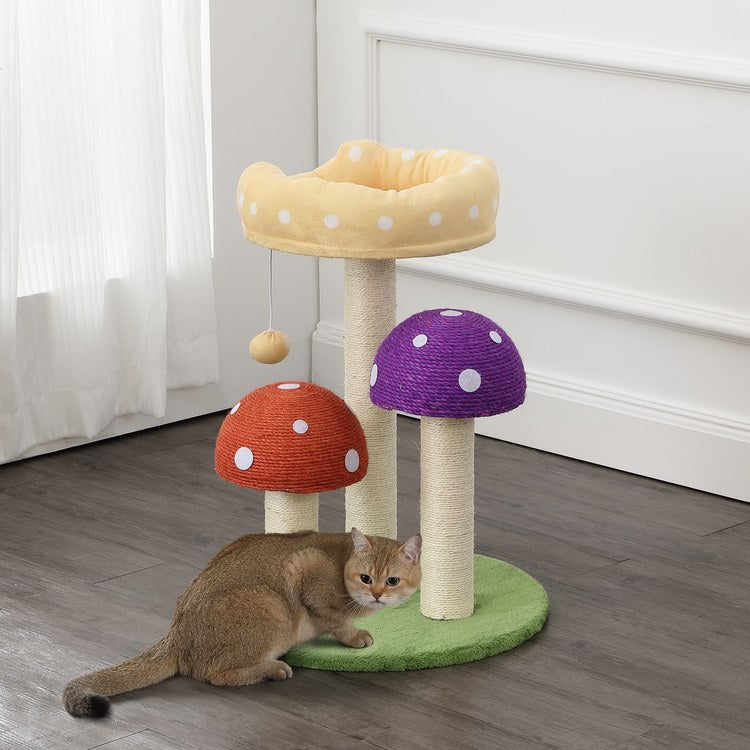 Product Image: CTR1001A Decor/Pet Accessories/Pet Beds