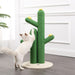 CTR1005A Decor/Pet Accessories/Other Pet Accessories