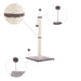 CTR1010A Decor/Pet Accessories/Other Pet Accessories